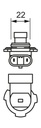 photo_4