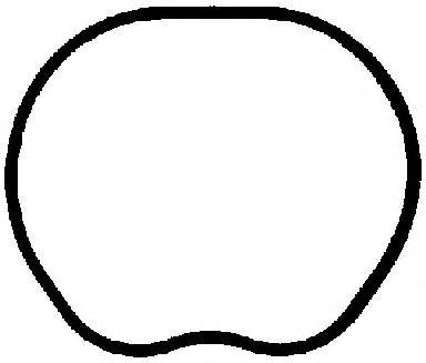 Прокладка колектора впускного Ford Fiesta/Focus/Mazda 2/3 1.25-1.6 01-