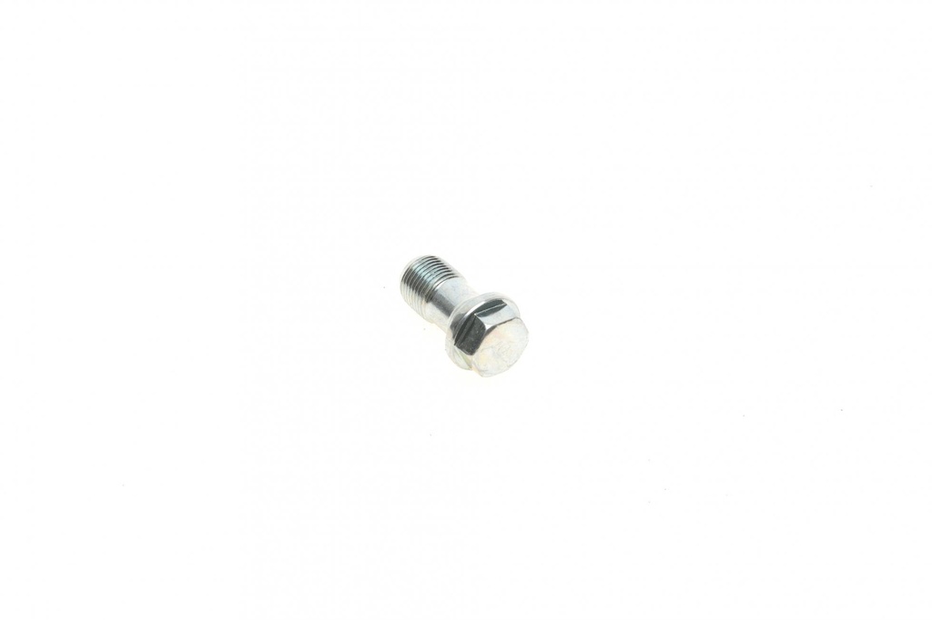 Болт Banjo (банжо) M12x1mm (13x28.9)