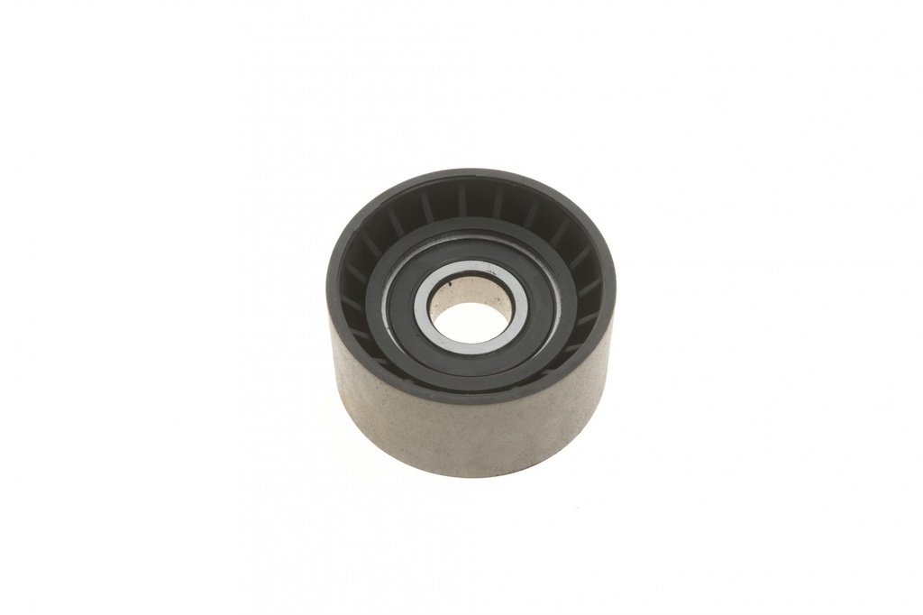 Ролик генератора Renault Trafic/Master 1.9-2.5DI/dTi (паразитний) (60х31)