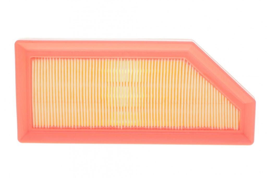 Фільтр повітряний Mitshubishi ASX, Dacia Jogger, Renault Arkana I, Captur II, Clio V, Megane IV 1.6H (20-)