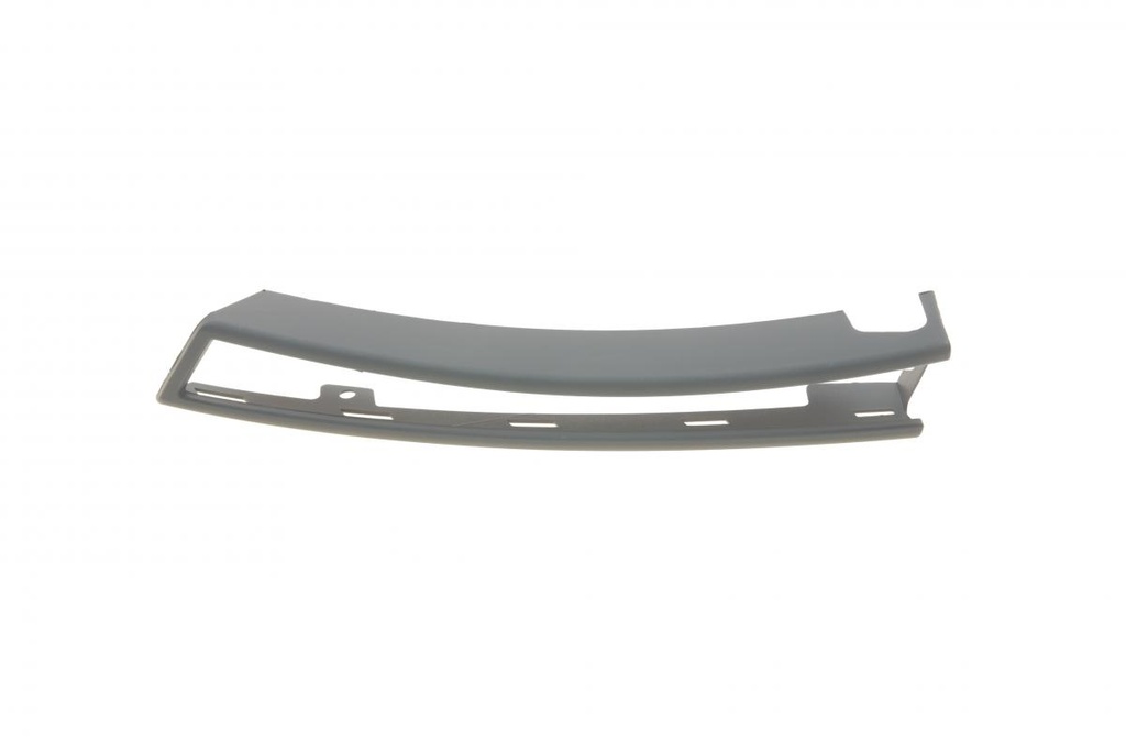 Накладка бампера (переднього) VW Passat 05-10 (L)