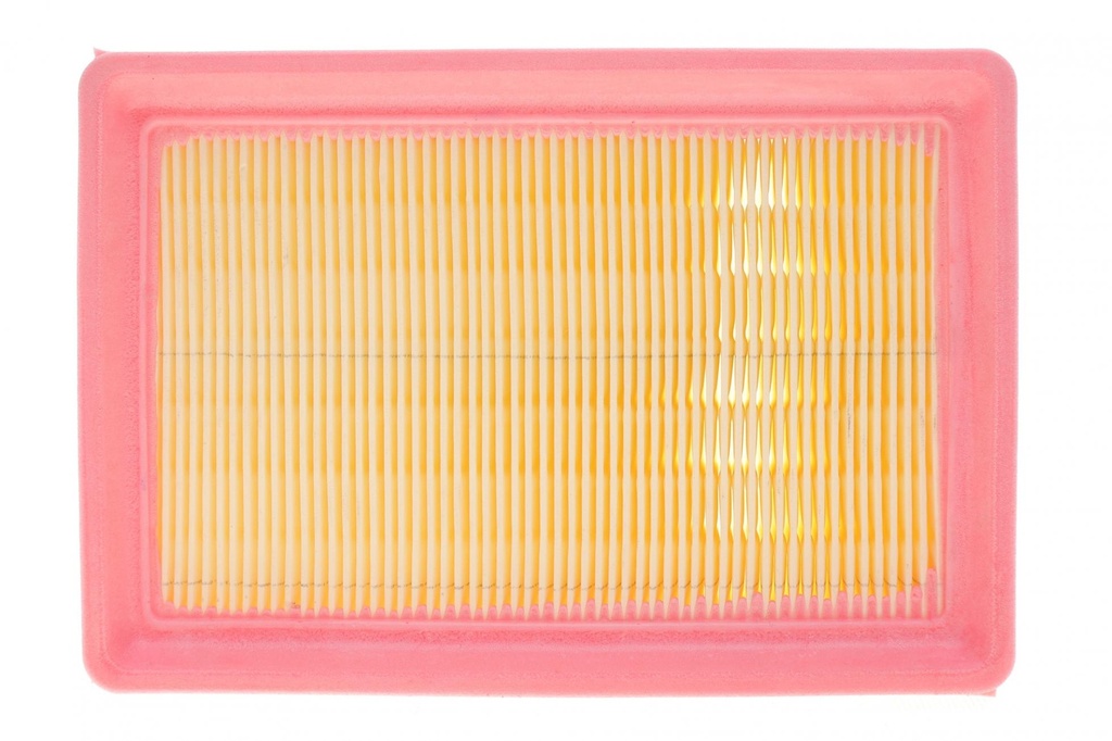 Фільтр повітряний Dacia Logan/Sandero/Renault Clio 1.0 TCe 19-