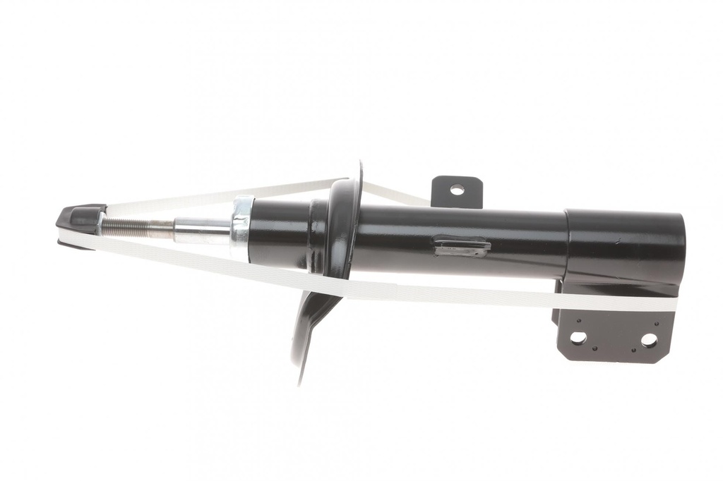 Амортизатор (передний) Citroen C4 04-/Peugeot 307 00- (L/R)