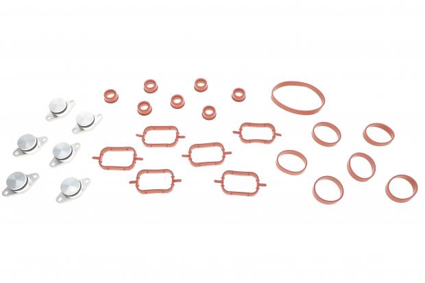 Ремкомплект колектора впускного BMW 3 (E46/E90)/5 (E39/E60)/X5 (E53/E70) 3.0d (M47) 98-11
