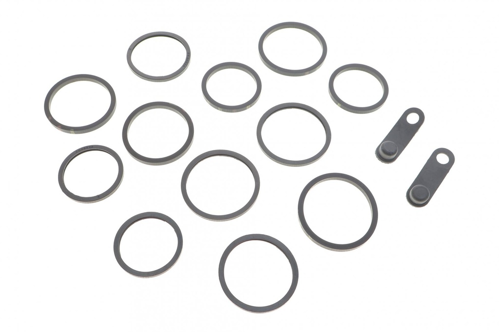 Ремкомплект супорта (переднього) Jaguar XK 06-14 (d=30mm) (Alcon)