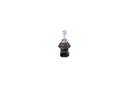 Автолампа HB4 12V 51W P22d Plus 120 Gigalight