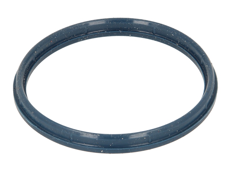 Прокладка корпуса впускного колектора FORD MONDEO III, TRANSIT, TRANSIT TOURNEO 2.0D/2.4D 01.00-03.07