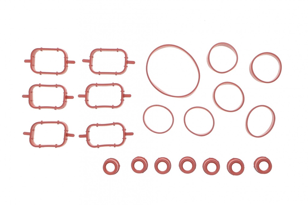 Комплект прокладок коллектора впускного BMW 3 (E46/E90)/5 (E39/E60) 2.0-3.0 (M47/M57/N57) 98-11