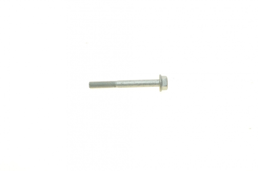 Болт M6x1x55