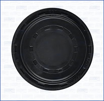 Заглушка ГБЦ VW CRAFTER (06-) (01164300) Ajusa