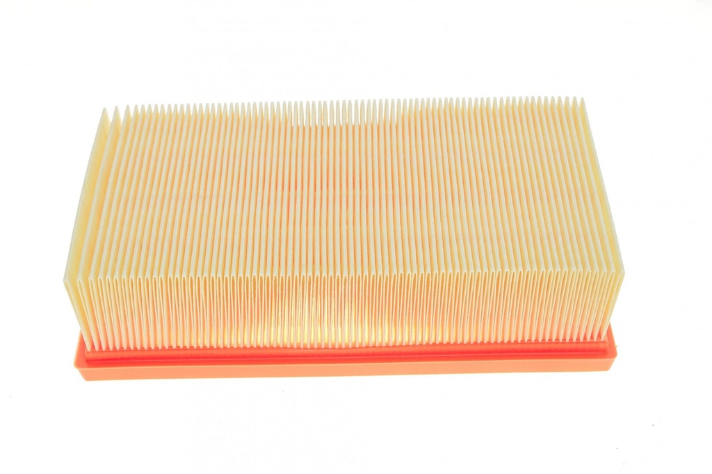 Фільтр повітряний Nissan Cube/Juke/Micra/Note/NV200/Renault Clio/Modus 1.2-2.0 03-