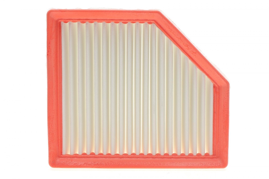 Фільтр повітряний 1,3 DIG-T Nissan Qashqai, Rogue (21-) 