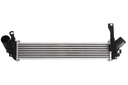 Интеркулер NISSAN KUBISTAR  RENAULT KANGOO, KANGOO EXPRESS 1.5D 12.01-