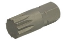 Біта вставка SPLINE / XZN, розмір: M12, розмір SPLINE / XZN: M12, довжина: 30 мм, 12-гранний