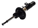 Амортизатор передн Лів CITROEN C2, C2 ENTERPRISE, C3 I, C3 PLURIEL  PEUGEOT 1007 1.1-1.6D 02.02-