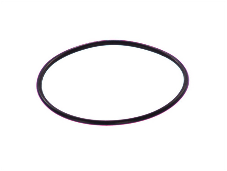 Гнездо катушки зажигания (EN) thin centering ring DAEWOO LANOS, LEGANZA, NUBIRA 1.3-2.2 02.97-