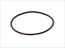 Гніздо катушки запалювання (EN) thin centering ring DAEWOO LANOS, LEGANZA, NUBIRA 1.3-2.2 02.97-