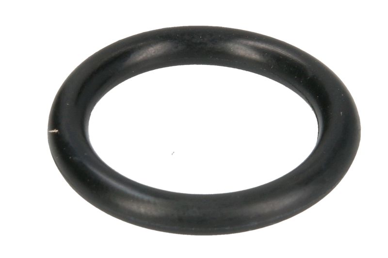 Прокладка термостата (19,6x3,65)  AUDI/FORD/RENAULT/VW