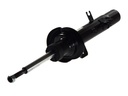 Амортизатор передн Прав CITROEN C2, C2 ENTERPRISE, C3 I, C3 PLURIEL  PEUGEOT 1007 1.1-1.6D 02.02-