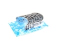 Вкладыши шатунные (0,25) CHEVROLET AVEO, CELTA, CORSA, CRUZE, TIGRA, TRAX; DAEWOO 1.5I, CIELO, CIELO LOAD RUNNER, ESPERO, LANOS, NEXIA; OPEL ASCONA B, ASCONA C, ASTRA F 1.0-1.8LPG 03.79-