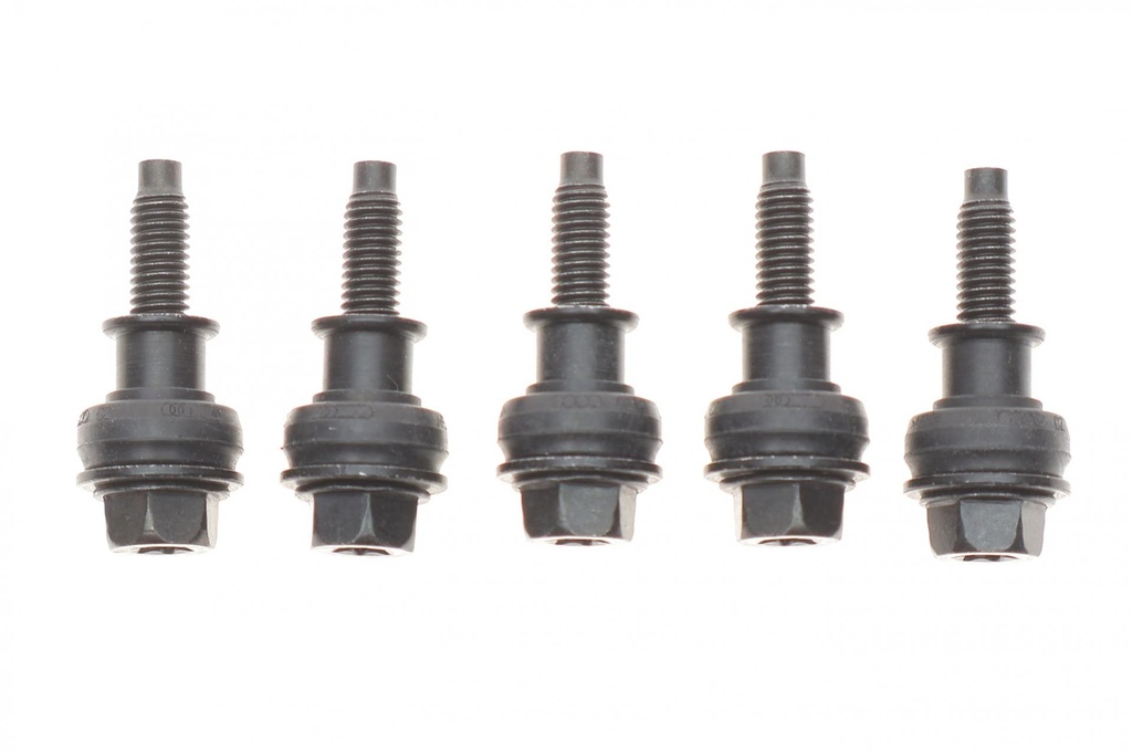 Болт кришки ГРМ VW Golf V/VI/Passat B6/B7 1.8/2.0 TFSI 04-16 (к-кт 5шт)