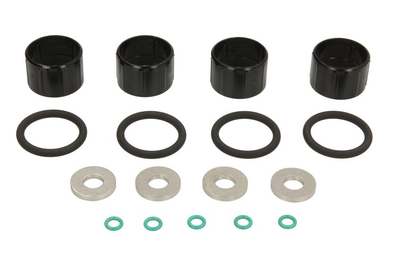 набір ущільнень DELPHI 2.0 HDI/DW10 ((EN) with body o-ring) DS DS 5  CITROEN C4 GRAND PICASSO I, C4 II, C4 PICASSO I, C4 PICASSO II, C5 III, C8, DS4, DS5, JUMPY I, JUMPY II 2.0D/2.0DH 07.00-