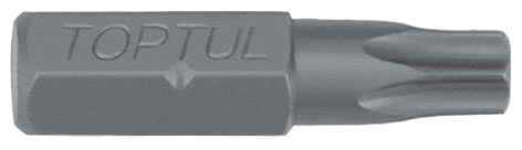 1/4" Бита вставка TORX Tamper, размер: T25H, размер шпильки в дюймах: 1/4", размер шпильки, метрическая система: 6,3 мм, длина: 25 мм