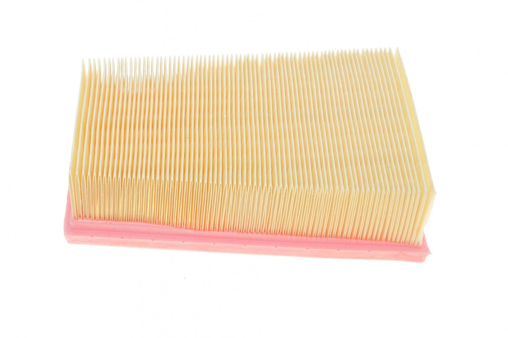 Фільтр повітряний Nissan Qashqai 1.6/2.0 06-13/Renault Koleos 2.0dCi 08-