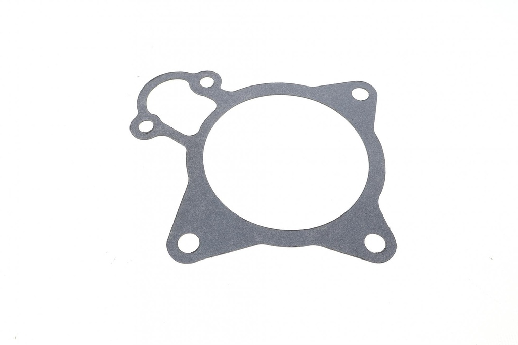 Прокладка помпи води Citroen Jumper/Fiat Ducato/Peugeot Boxer 3.0 HDi 06-