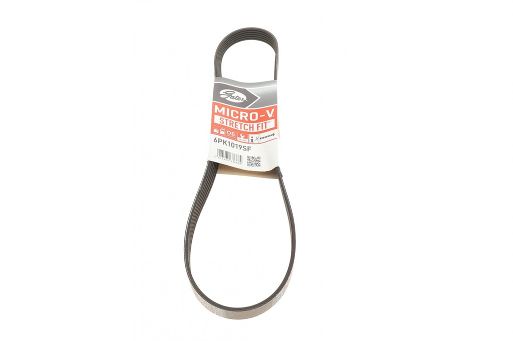 Ремінь генератора Ford Fiesta V-VI/Focus III 1.2-1.6LPG 01-