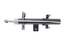 Амортизатор (задний) Land Rover Freelander 06-14 (R)