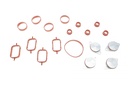 Ремкомплект колектора впускного BMW 3 (E46/E90)/5 (E39/E60) 2.0d (N47/M47) 98-11