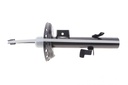 Амортизатор (передний) Land Rover Freelander 2 2.0/2.2D/3.2 06-14 (L)