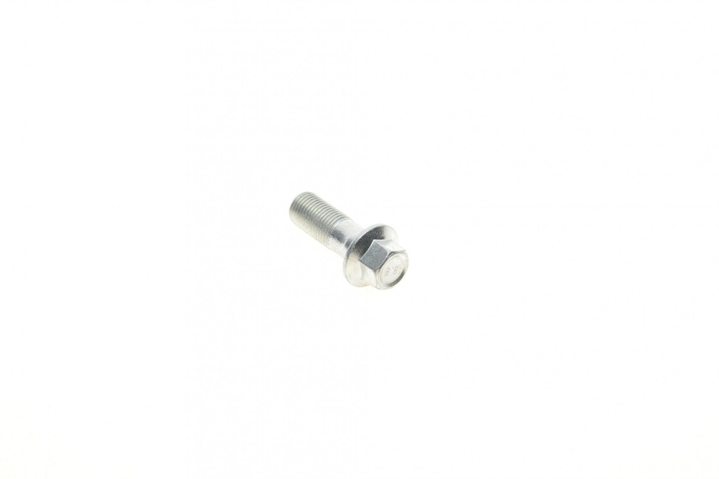 Болт Banjo (банжо) M10x1mm (11x37)