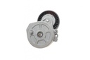 Натяжитель ремня генератора Fiat Scudo/Peugeot Boxer/Partner 2.0-2.2HDI 99-