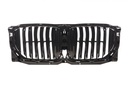 Решітка радіатора BMW X5 (G05/F95) 16-