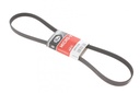 Ремінь генератора Fiat Doblo 1.3D Multijet/1.3JTD/Ford Focus 1.8/2.0 04-