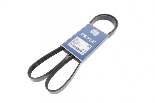 [050 006 1670] Ремінь генератора Fiat Ducato 2.2D/Ford Transit 2.2TDCI 06- (+AC) (6PK1670)