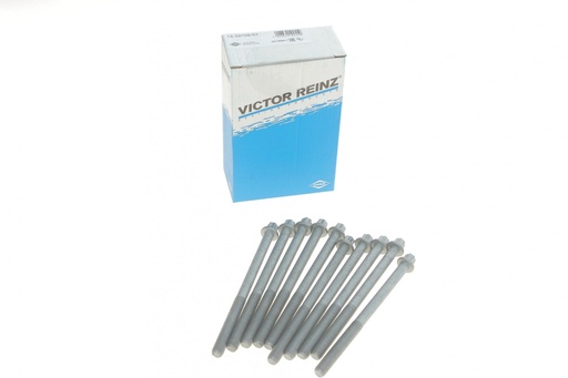 [14-32102-01] Болти головки (к-кт 10шт.) Opel Combo 1.6 01-11