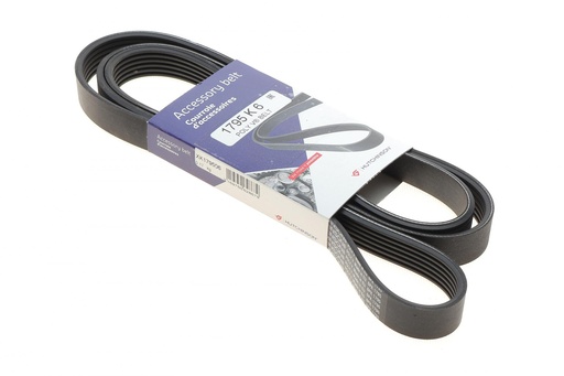 [1795 K 6] Ремінь генератора Renault Trafic/Master/Opel Movano 2.2 DTi/ 2.5dCi (6PK1795)