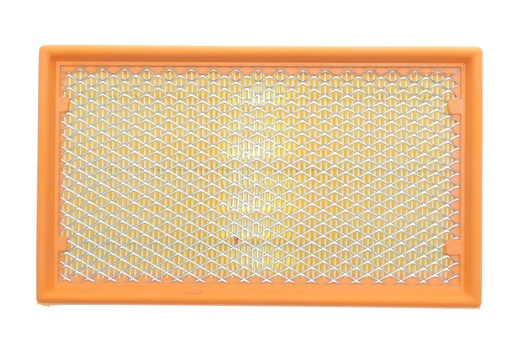 [AF1734s] Фільтр повітряний Renault Clio 1.5dCi/1.6 16V/2.0 16V 05-14 (з сіткою)
