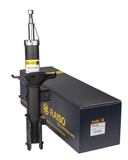 [RS317599] Амортизатор передний пр. Getz 02-10 (газ.)