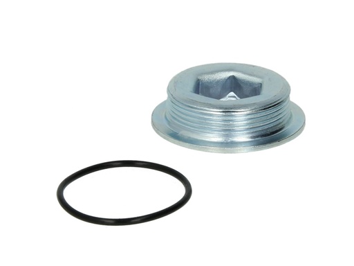 [38554] Заглушка блоку циліндрів MB Sprinter 95- (M35x1.5)