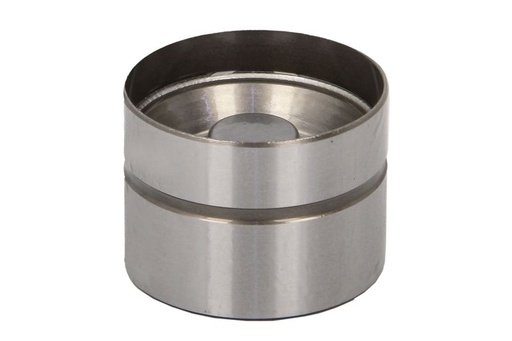 [420 0209 10] Гидрокомпенсатор VW/AUDI 1.4/1.9/2.0 TDI  2005-