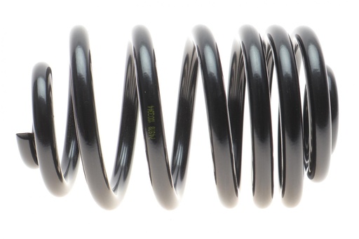 [4263476] Пружина (задня) Opel Vivaro A/B 1.9-2.5DTI 01-/Renault Trafic III 1.6dCi 14- (фург) (з пост.d) (HD)
