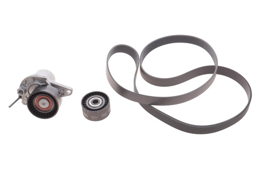 [529 0246 10] Комплект поліклінового ременя (з роликами) OPEL VIVARO-B, MERCEDES VITO (W447); FIAT TALENTO; NISSAN NV300, QASHQAI I 1.6D 04.11-