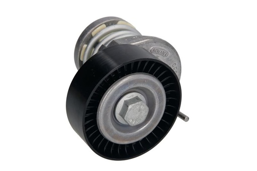 [534 0164 10] Натяжник ременя генератора VW Caddy/Crafter 2.0TDI 11-