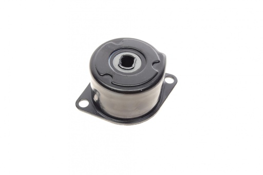 [534 0172 10] Натяжник ременя генератора VW T4 2.4D/2.5TDI, 90-03