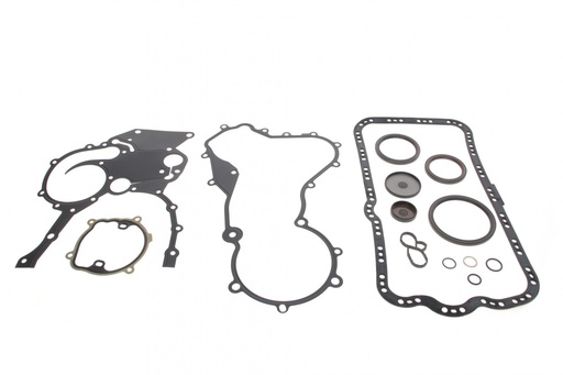 [54123100] Комплект прокладок Master/Trafic 2.5dCi 01- (нижний)